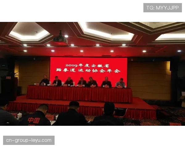 国际拳击信誉制度建设进展报告，国际拳击协会